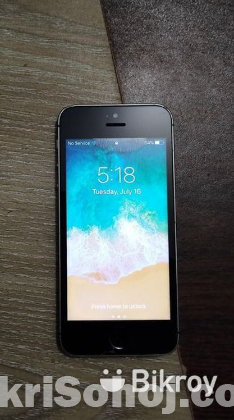 iphone 5s (64GB)